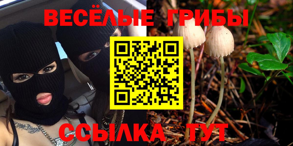 Псилоцибиновые грибы прущие грибы Елизово