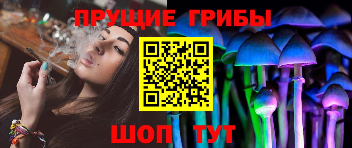 Елизово  Галлюциногенные грибы ЛСД  Псилоцибиновые грибы мухоморы  Вход с VPN 